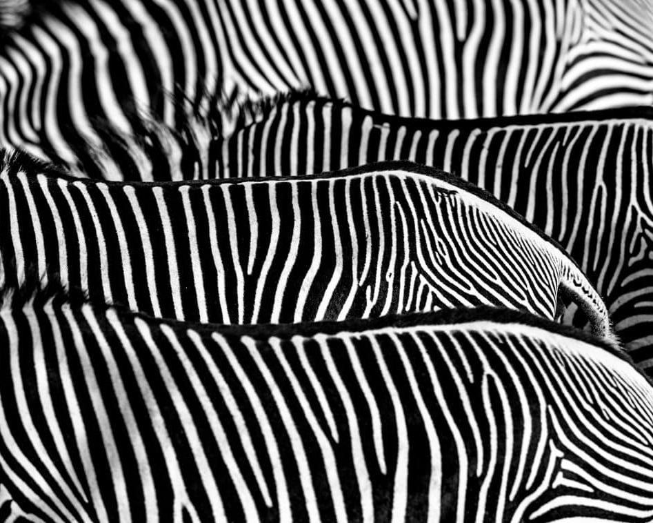 David_Yarrow_The_Factory_Hilton_Asmus_Contemporary