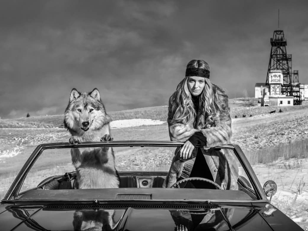 David_Yarrow_The_Mile_High_Club_Hilton_Asmus_Contemporary