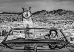David_Yarrow_The_Richest_Hill_in_the_World_Hilton_Asmus_Contemporary
