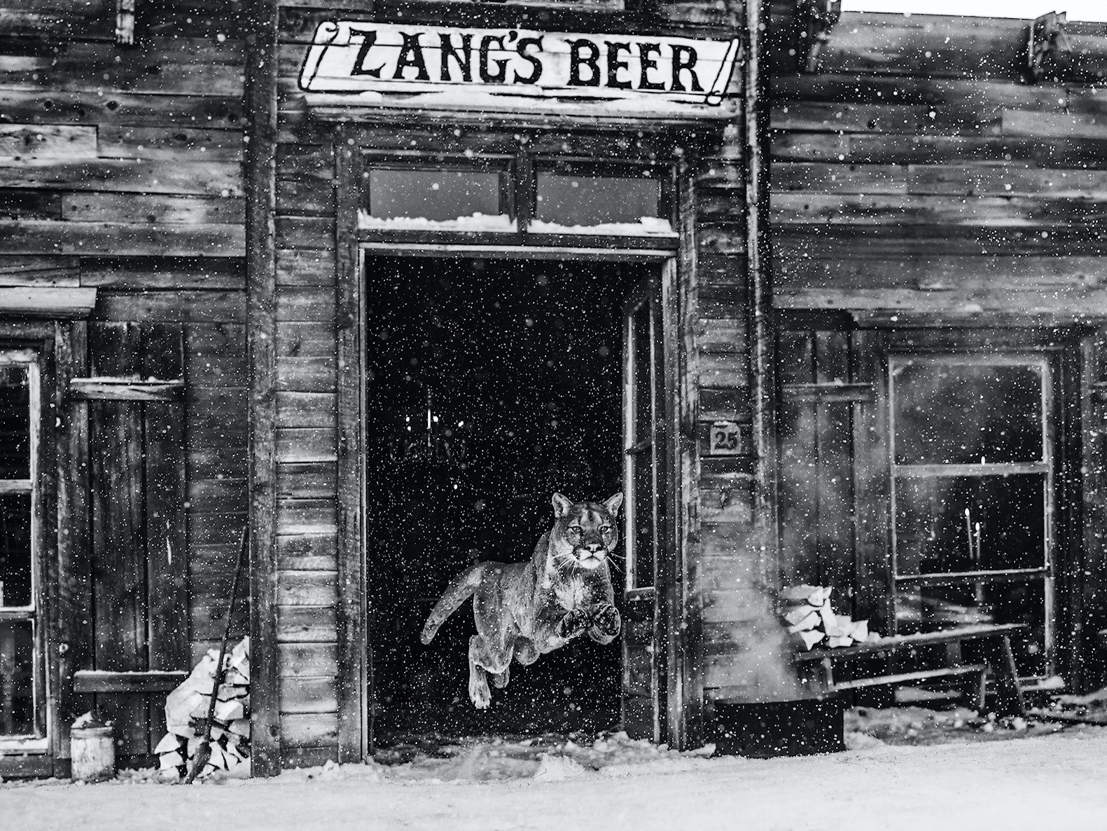 David_Yarrow_The_Wild_West_II_Hilton_Asmus_Contemporary