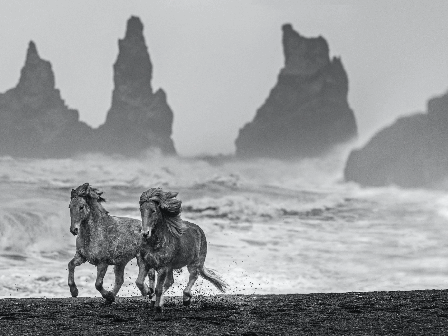 David_Yarrow_Wild_Horses_Hilton_Asmus_Contemporary