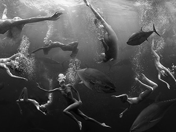 Hugh_Arnold_Constellation_Hilton_Asmus_Contemporary