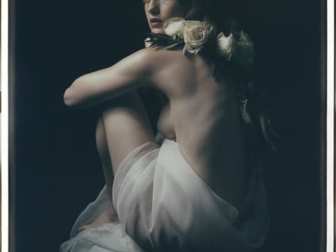 Jack_Perno_India_with_Roses_Hilton_Asmus_Contemporary