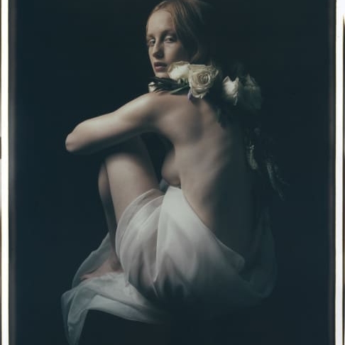 Jack_Perno_India_with_Roses_Hilton_Asmus_Contemporary