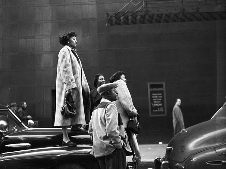 Ted_Williams_Chicago_Life_Hilton_Asmus_Contemporary