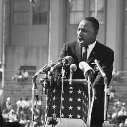 Ted_Williams_Martin_Luther_King_Jr_Hilton_Asmus_Contemporary