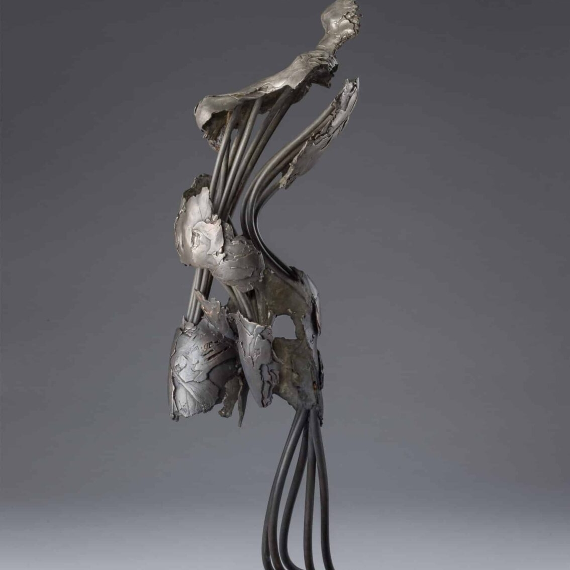 s184790591720944513_p1211_i3_w2560