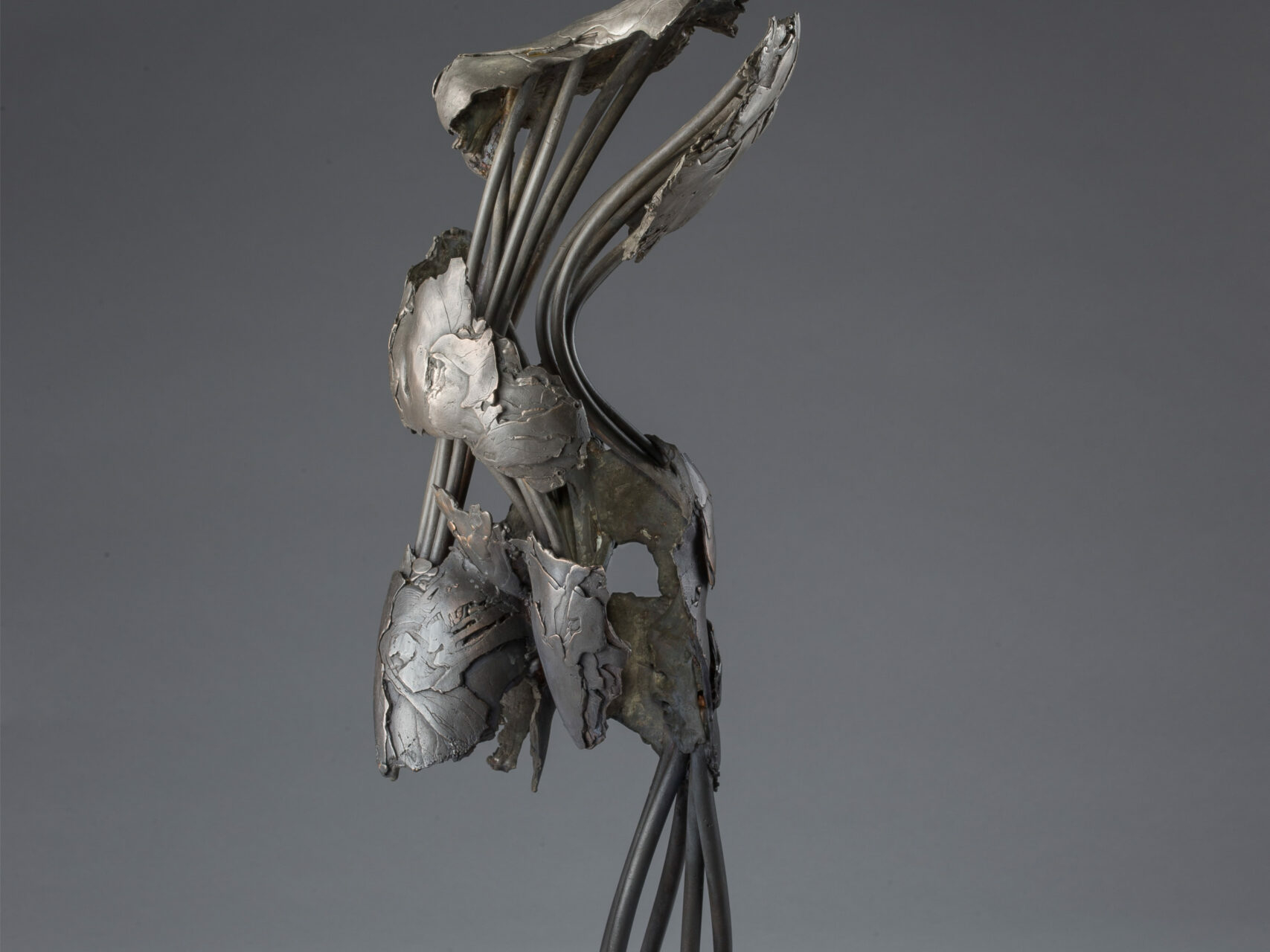 s184790591720944513_p1211_i3_w2560