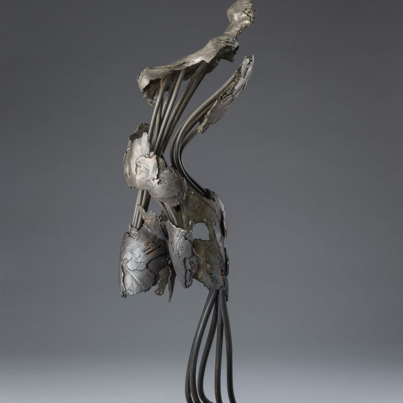 s184790591720944513_p1211_i3_w2560