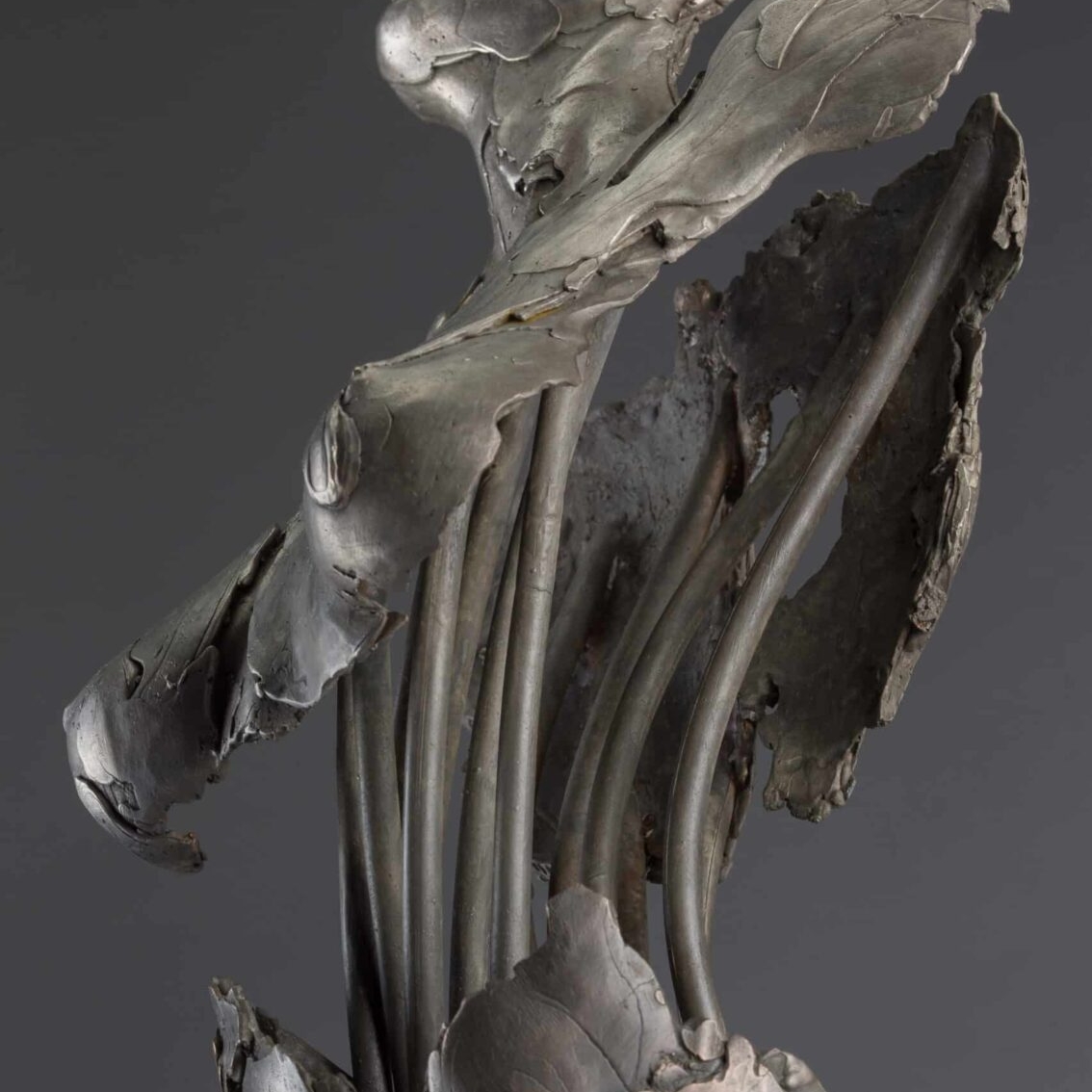 s184790591720944513_p1211_i4_w2560