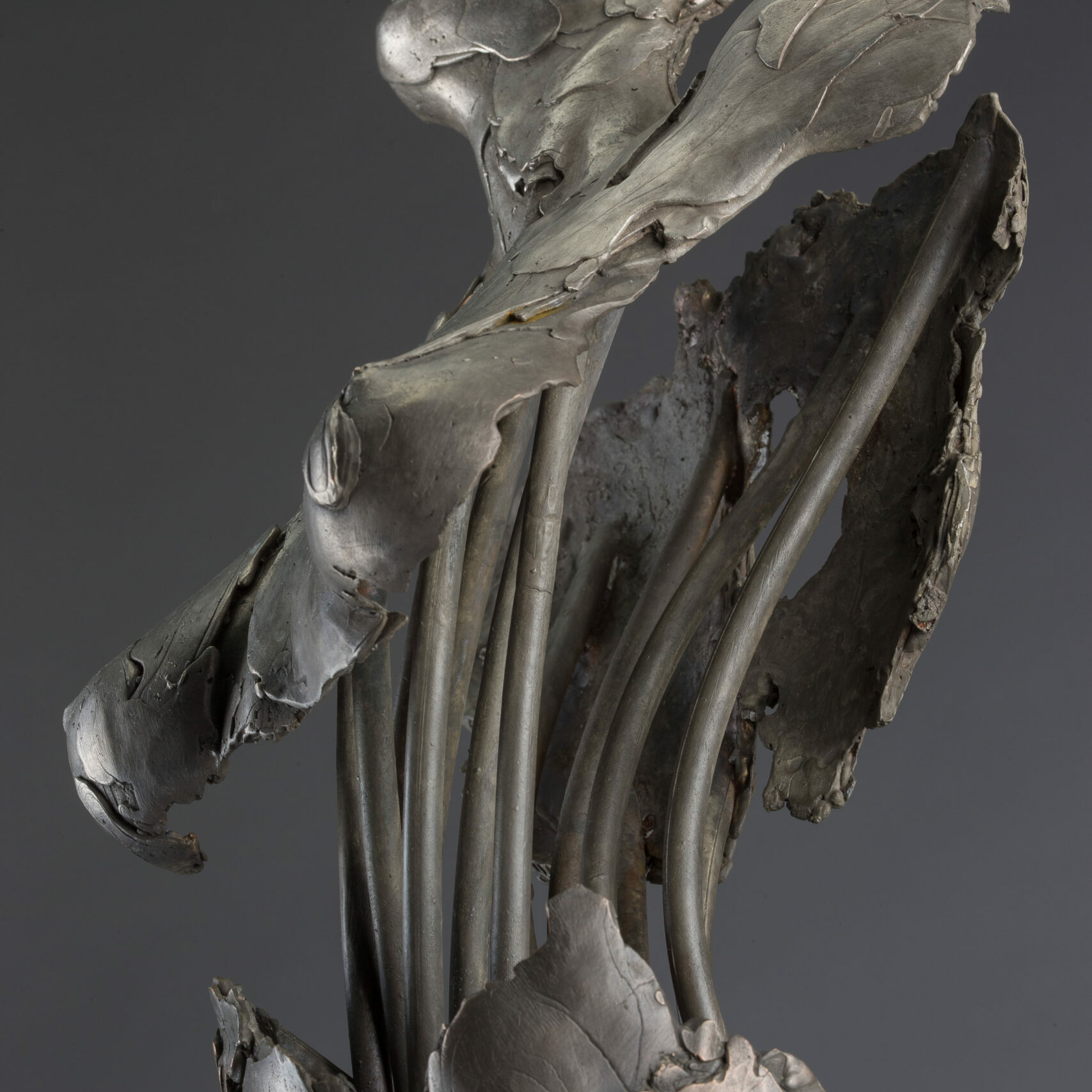 s184790591720944513_p1211_i4_w2560