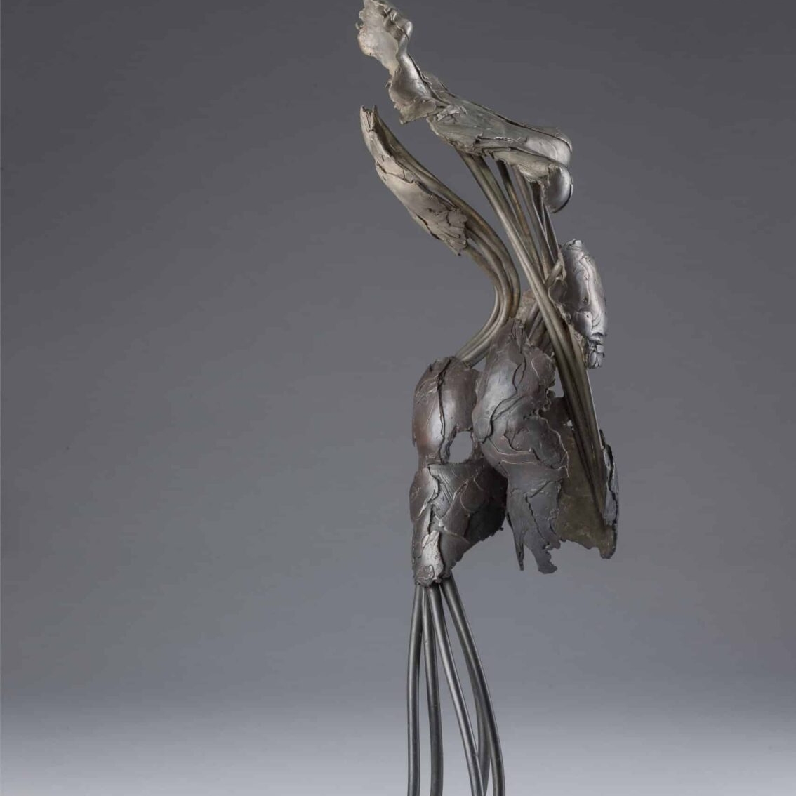 s184790591720944513_p1211_i5_w2560