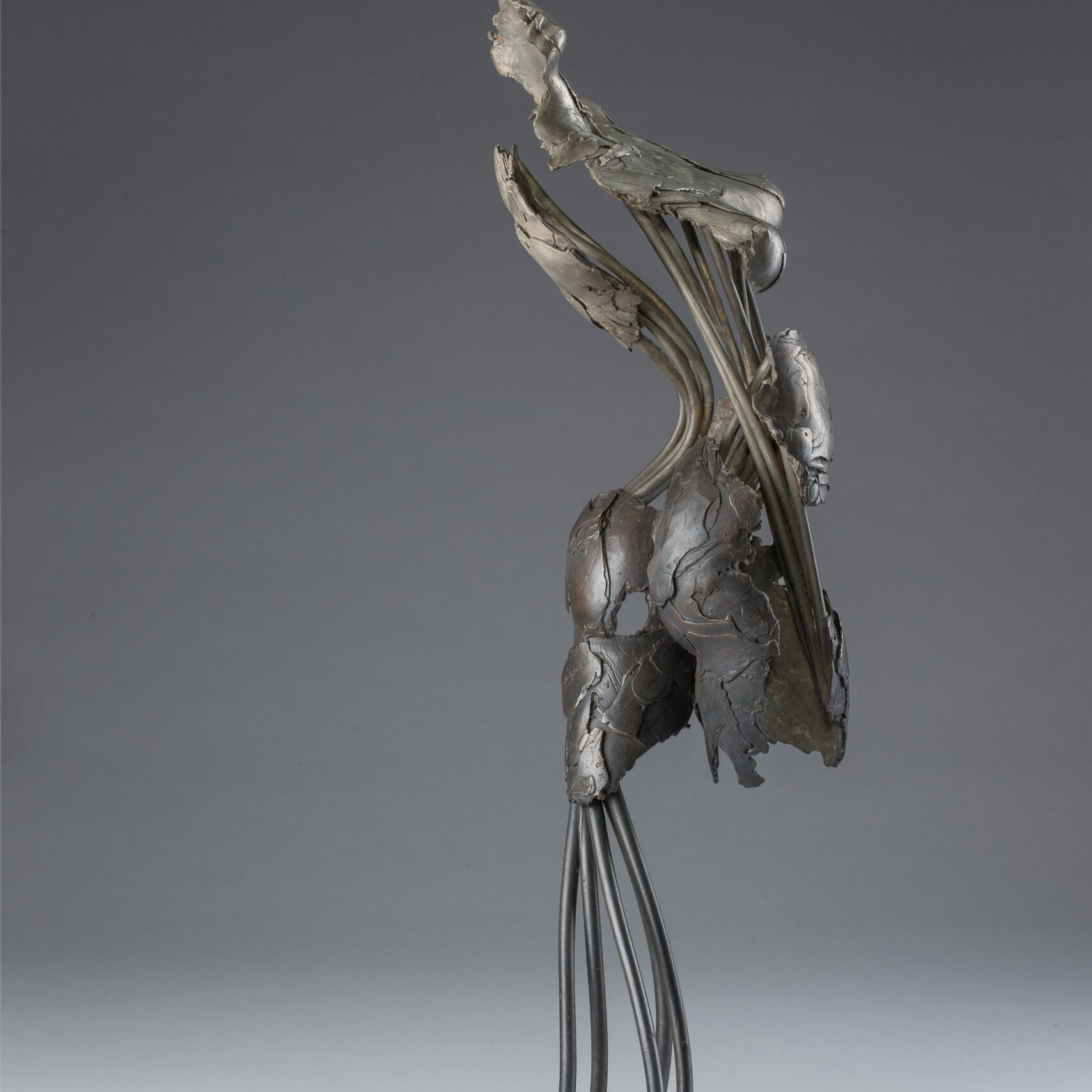 s184790591720944513_p1211_i5_w2560