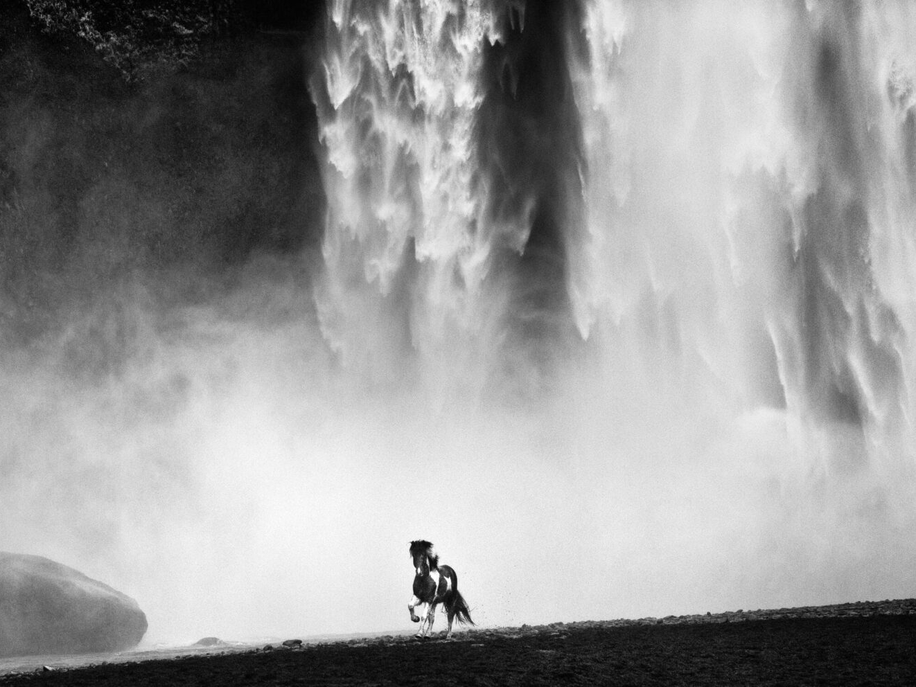 wild-david-yarrow-Hliton-Asmus-Contemporary