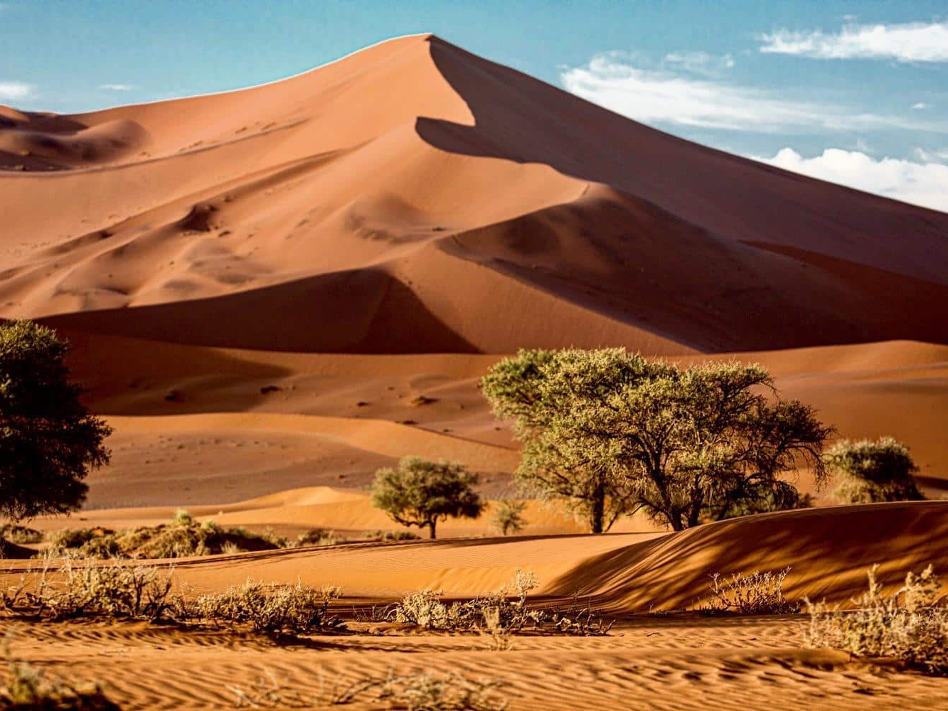 0ab3ba2c-1d9f-442b-bd14-0c9a8be1f717