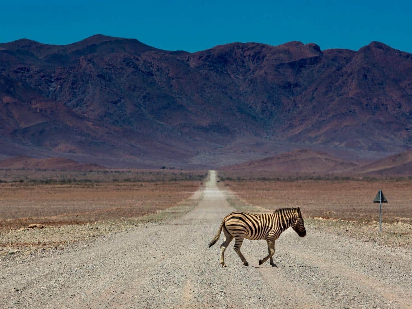 3e86dac4-23f2-47bc-a8dd-ac76eeb790c4