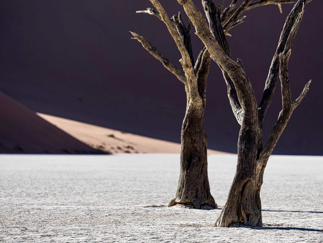 44f3b935-b946-45bb-8d72-bf9ad73c0a5b