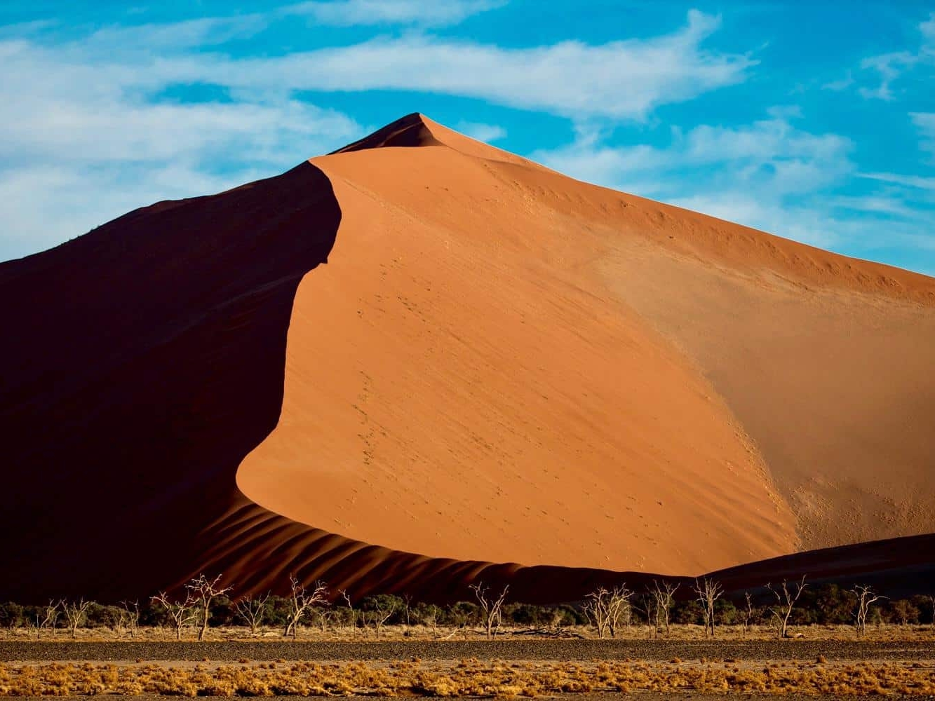 51c924f3-537f-4b26-b3ff-e67d66e522fd