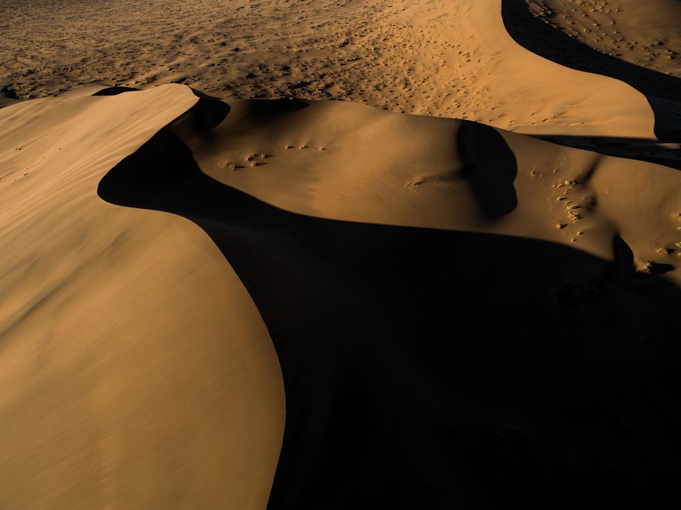 5828327f-5b20-4b8f-ac93-6e8d6559f3cc