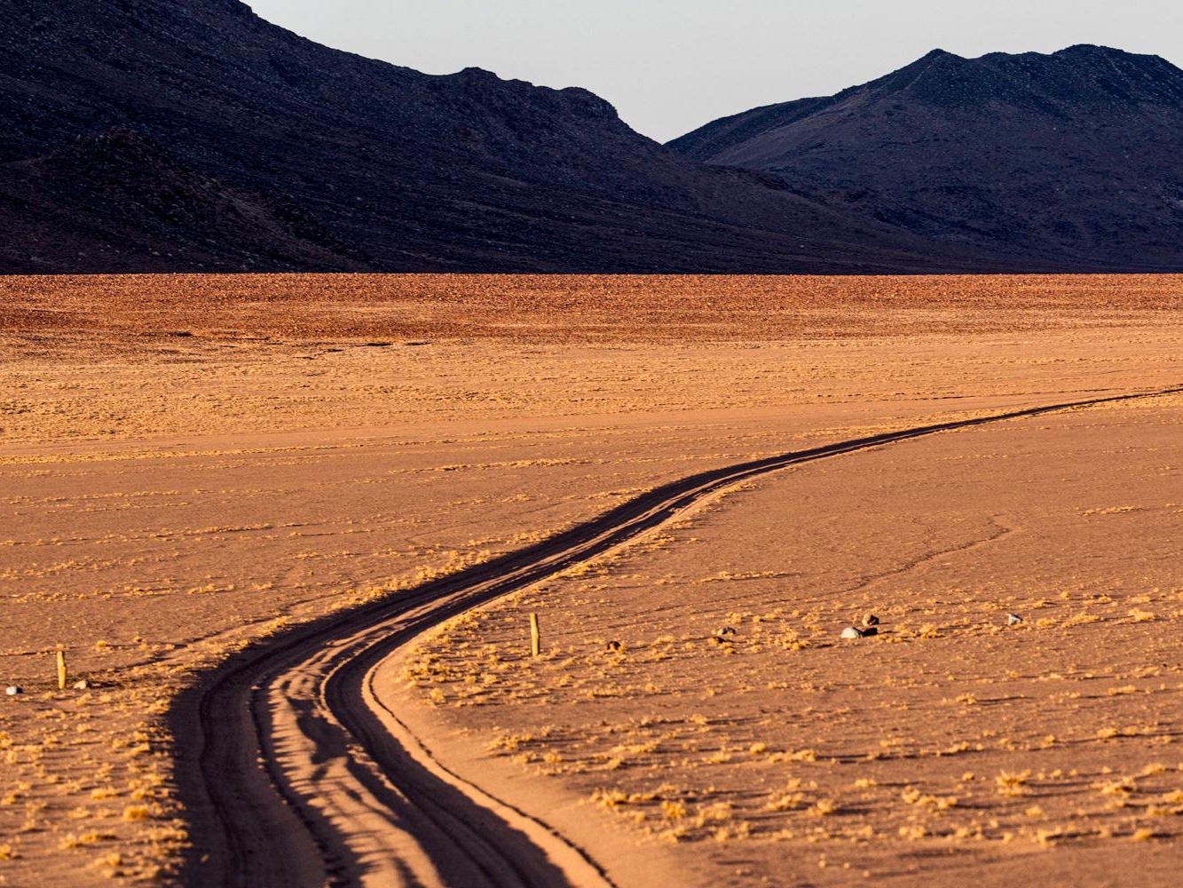 6fbe84a7-1a28-4514-845a-72f5ca698e8b