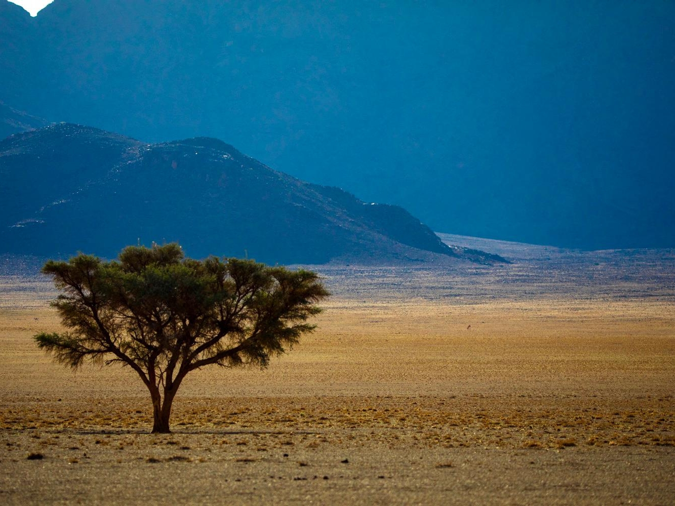 7c08bcc4-53f9-4811-9f70-adee64d6f313