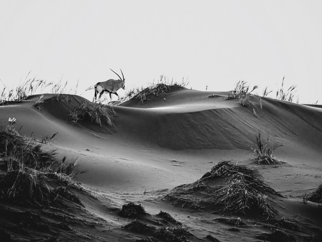 7d26f813-b70a-4ba0-a0ee-a941e6dd59c2