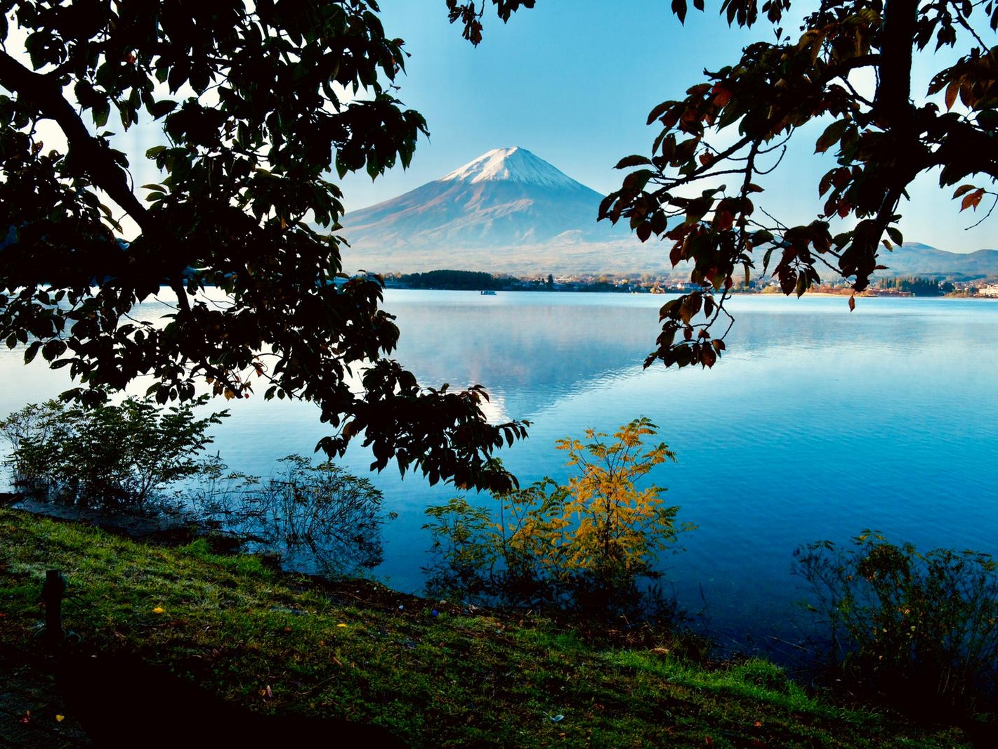 9ee3a874-3682-47e1-839e-3b401058c335