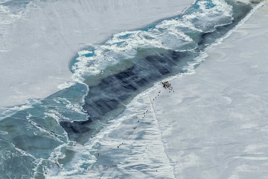 Icy Pilgrimage