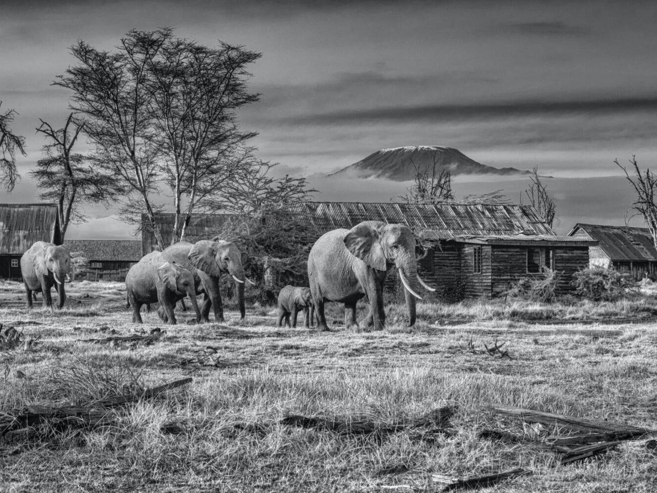David_Yarrow_After_Man_Hilton_Asmus_Contemporary