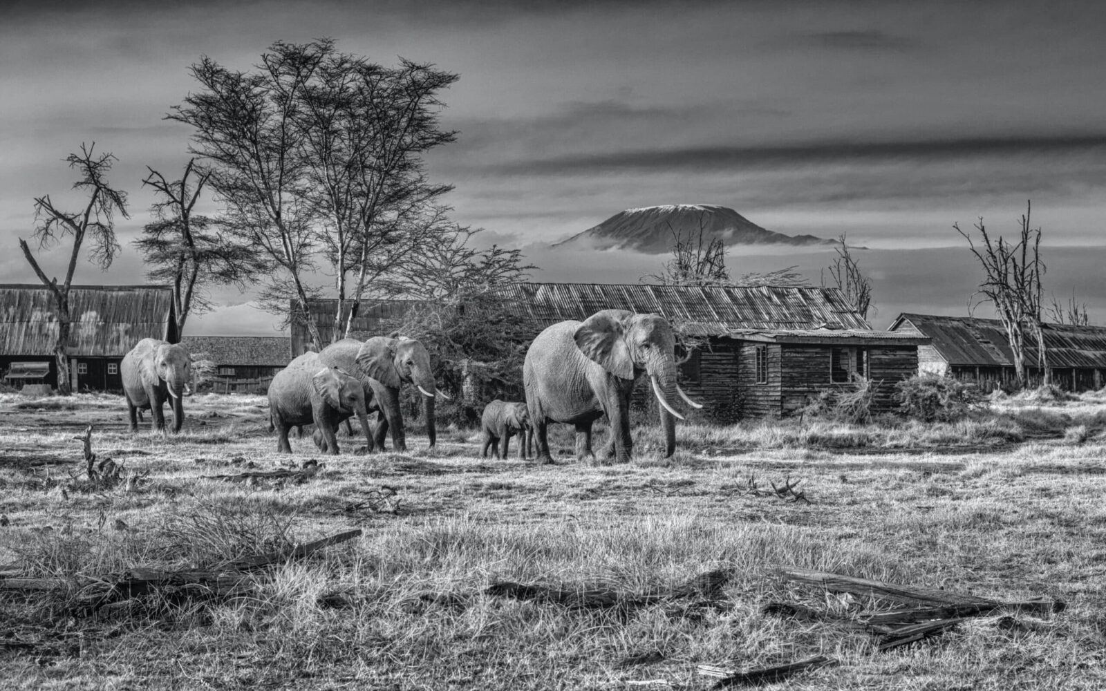 David_Yarrow_After_Man_Hilton_Asmus_Contemporary