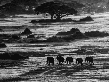 David_Yarrow_Dawn_Commute_Hilton_Asmus_Contemporary