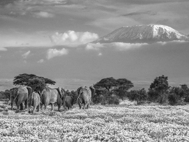 David_Yarrow_Garden_of_Eden_Hilton_Asmus_Contemporary