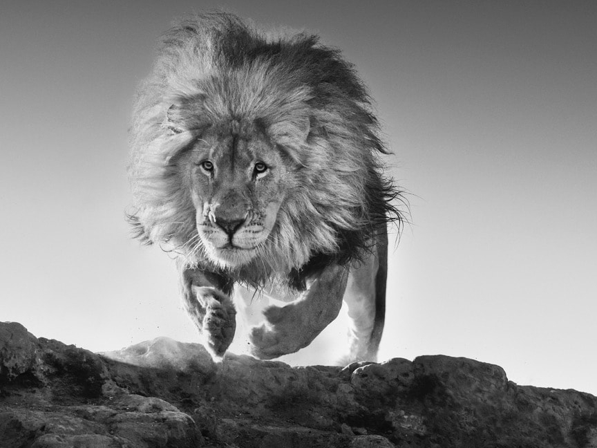 David_Yarrow_Hairspray_Hilton_Asmus_Contemporary