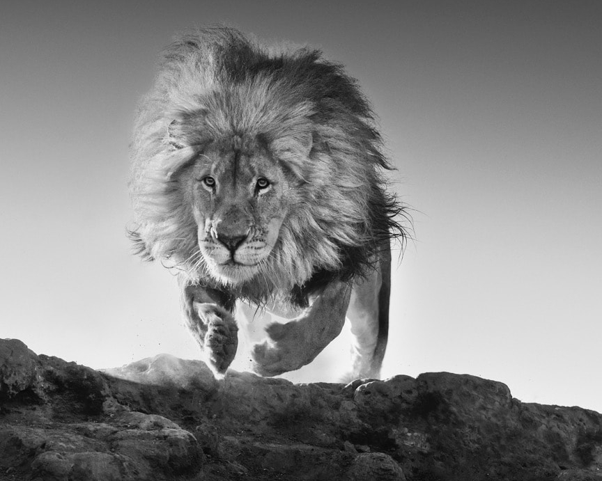 David_Yarrow_Hairspray_Hilton_Asmus_Contemporary