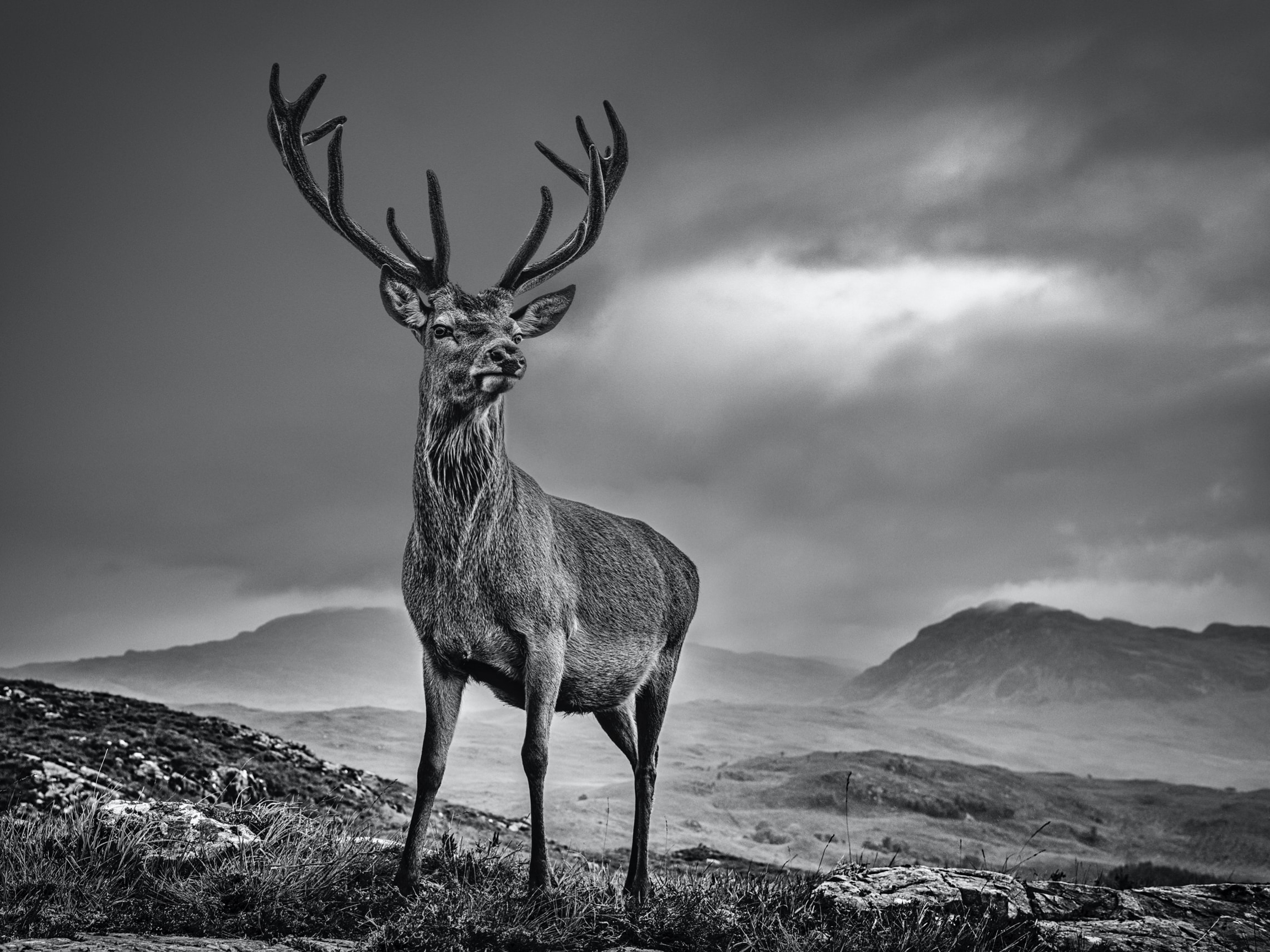 David_Yarrow_Homeland_Hilton_Asmus_Contemporary