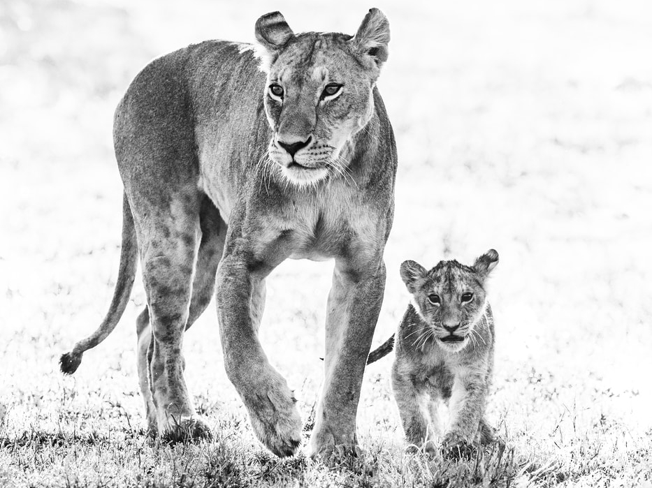 David_Yarrow_Mothers_Day_Hilton_Asmus_Contemporary
