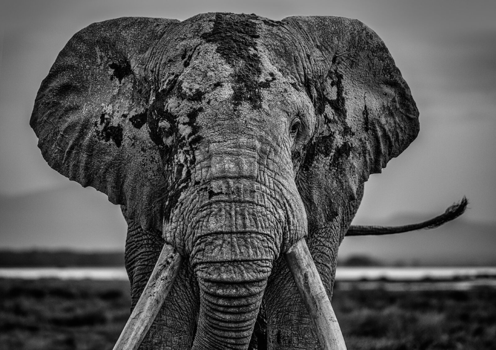 David_Yarrow_Mud_Hilton_Asmus_Contemporary