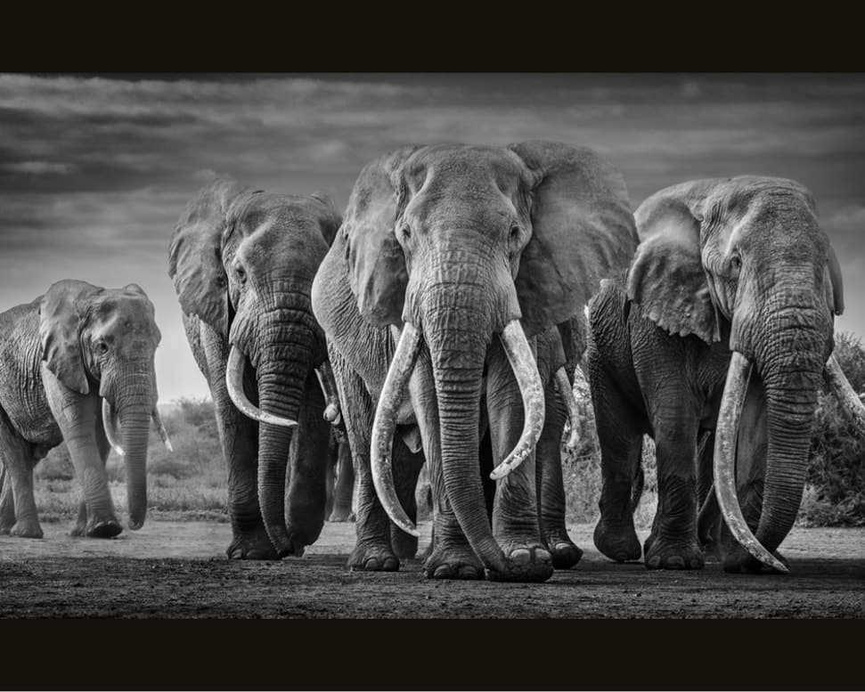 David_Yarrow_Squad_Hilton_Asmus_Contemporary