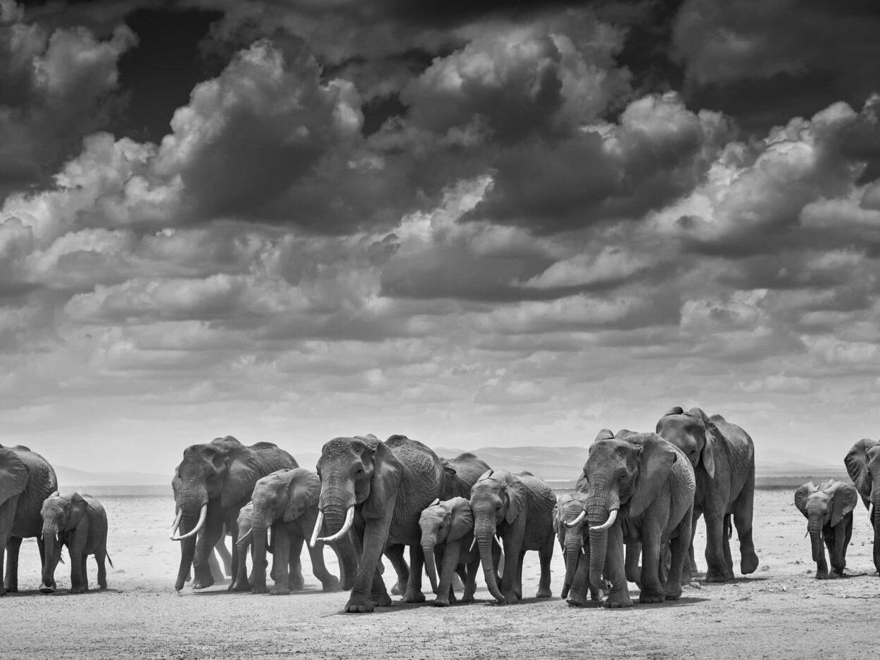 Trumbo film photocall, London, Britain - 08 Oct 2015