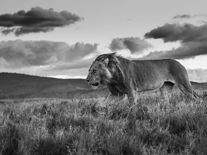 David_Yarrow_The_Late_Shift_Hilton_Asmus_Contemporary