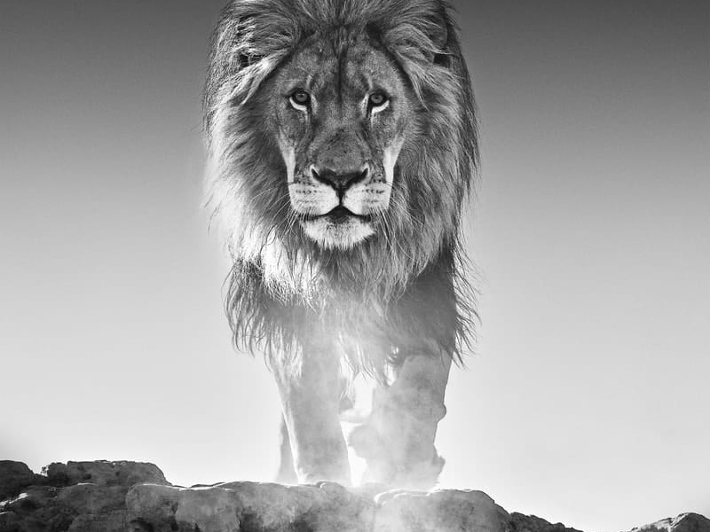 David_Yarrow_The_Old_Testament_Hilton_Asmus_Contemporary