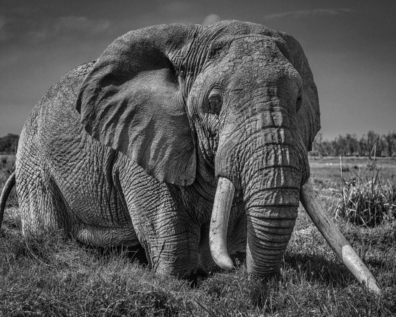 David_Yarrow_The_Pirate_Hilton_Asmus_Contemporary