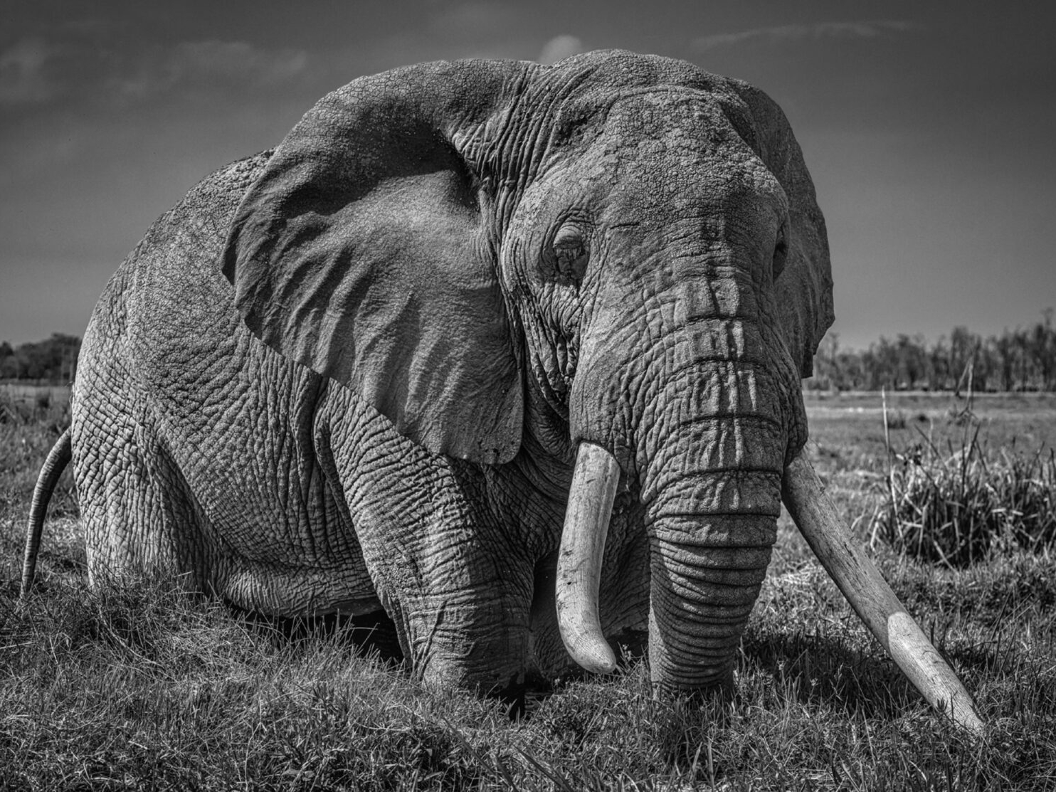 David_Yarrow_The_Pirate_Hilton_Asmus_Contemporary