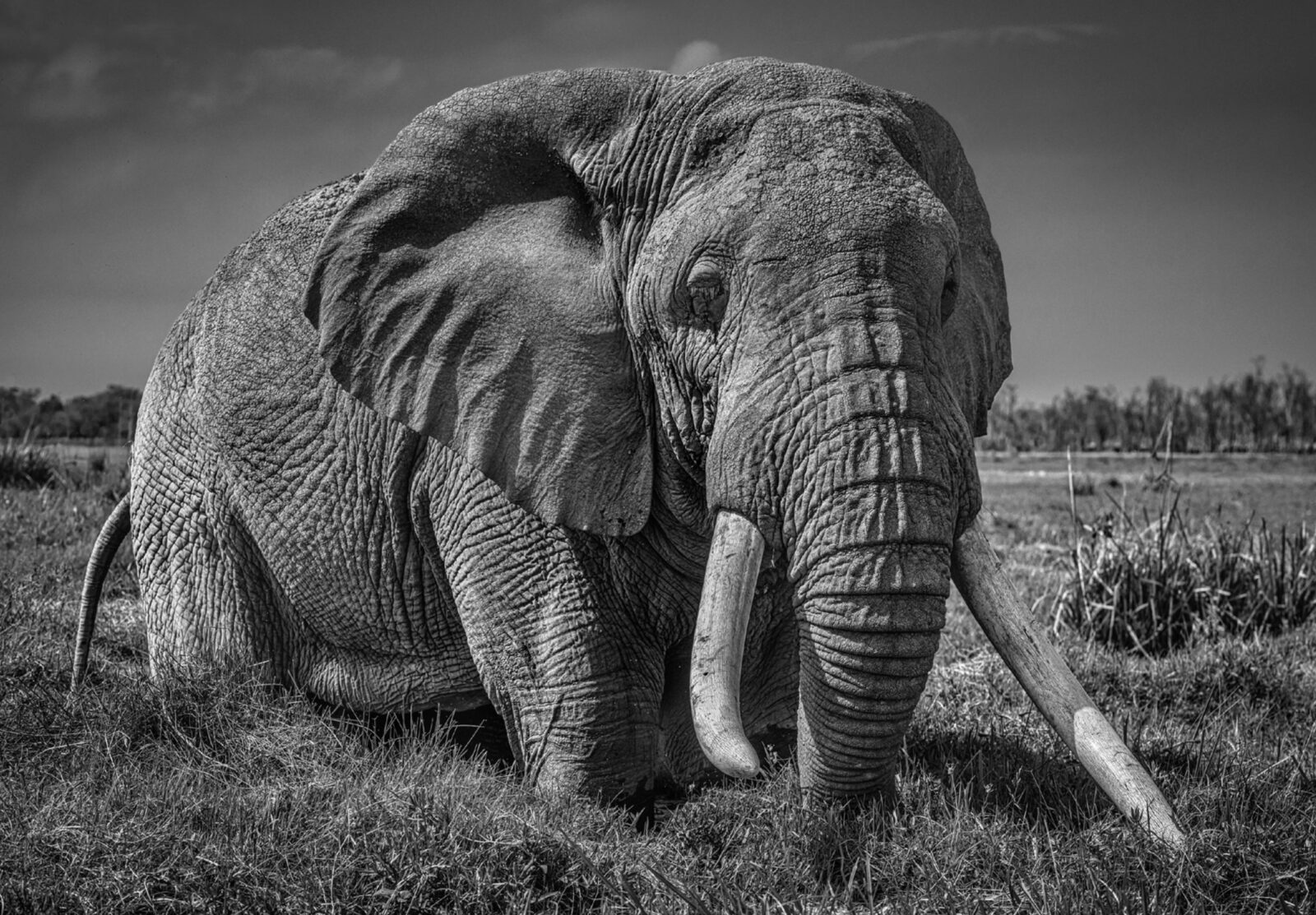 David_Yarrow_The_Pirate_Hilton_Asmus_Contemporary