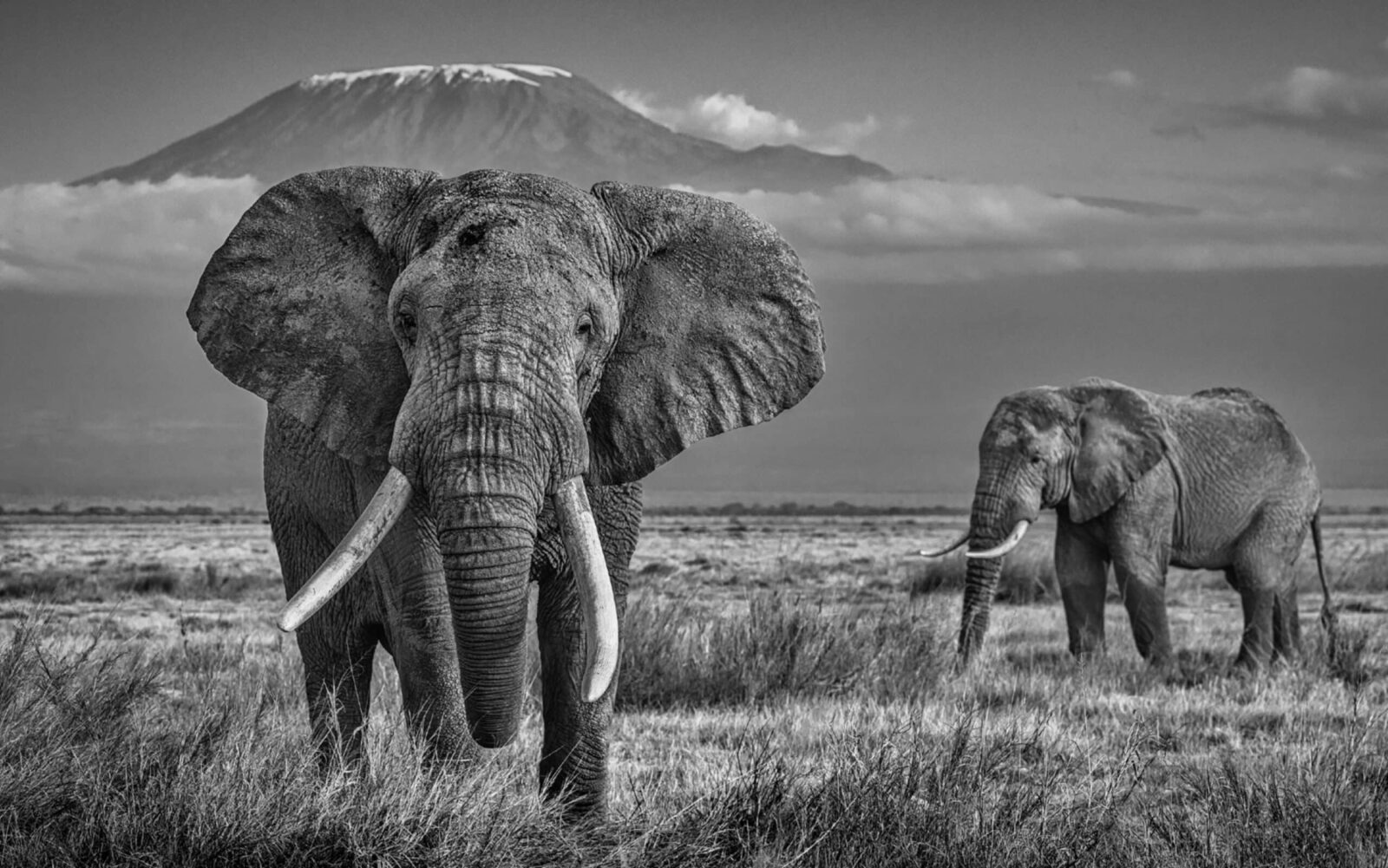 David_Yarrow_The_Witness_Hilton_Asmus_Contemporary