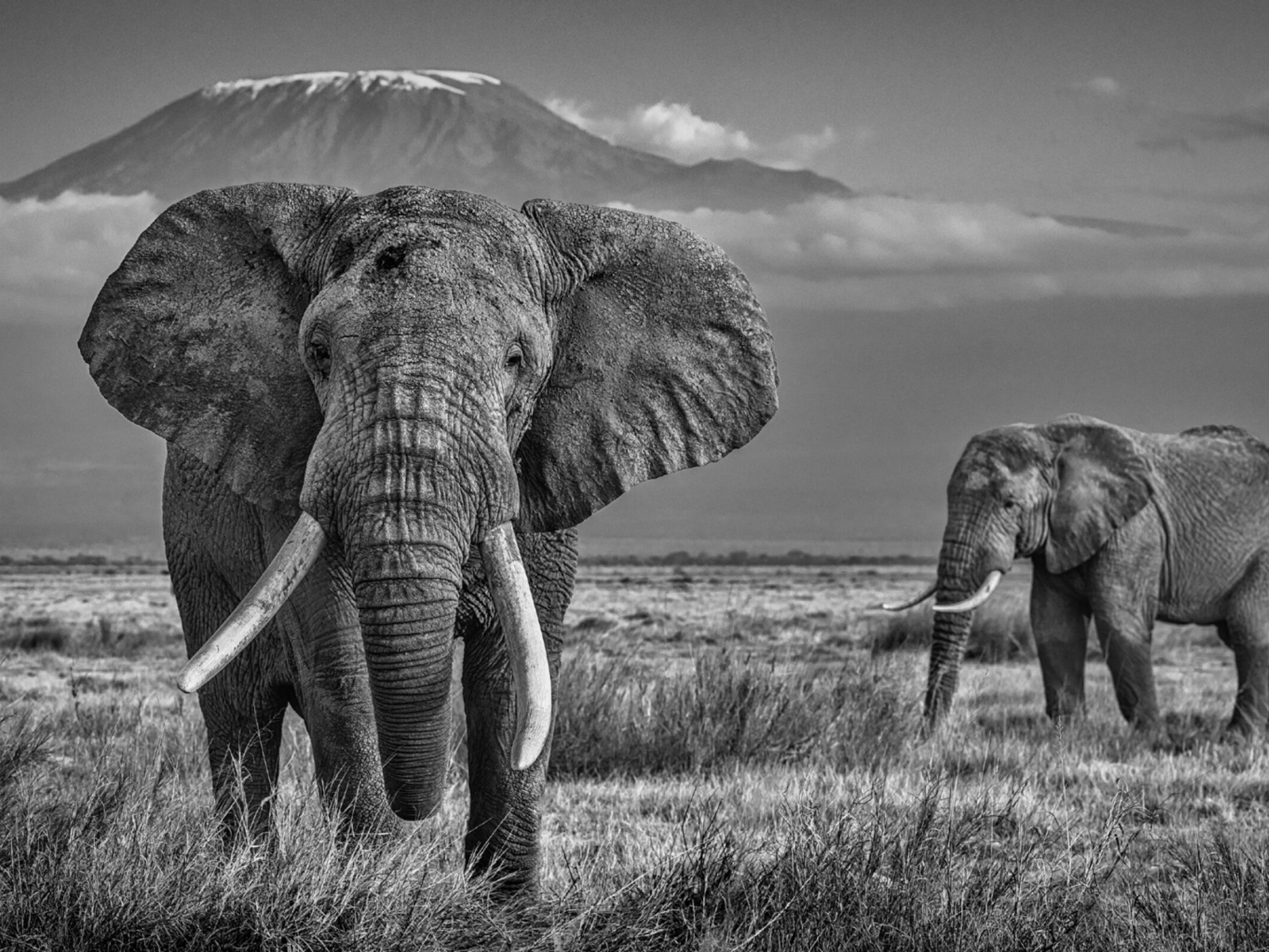 David_Yarrow_The_Witness_Hilton_Asmus_Contemporary