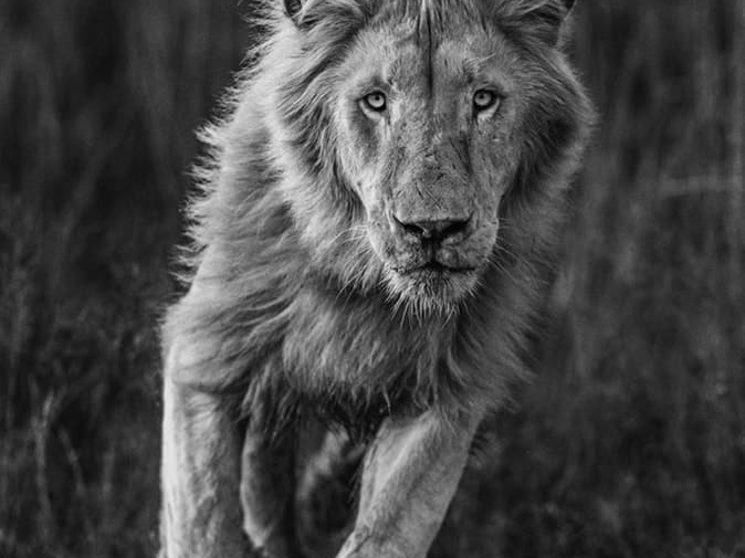 David_Yarrow_Thor_Hilton_Asmus_Contemporary