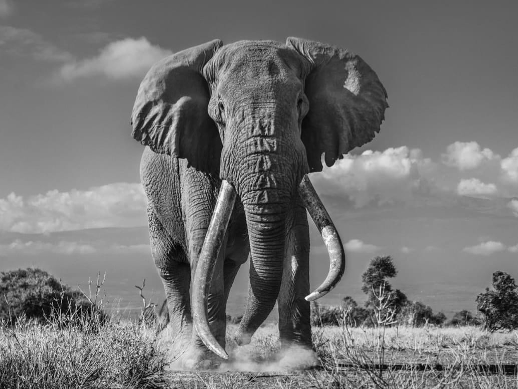 David_Yarrow_Tim_Hilton_Asmus_Contemporary