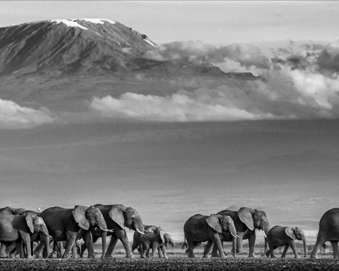 David_Yarrow_Walk_the_Line_II_Hilton_Asmus_Contemporary