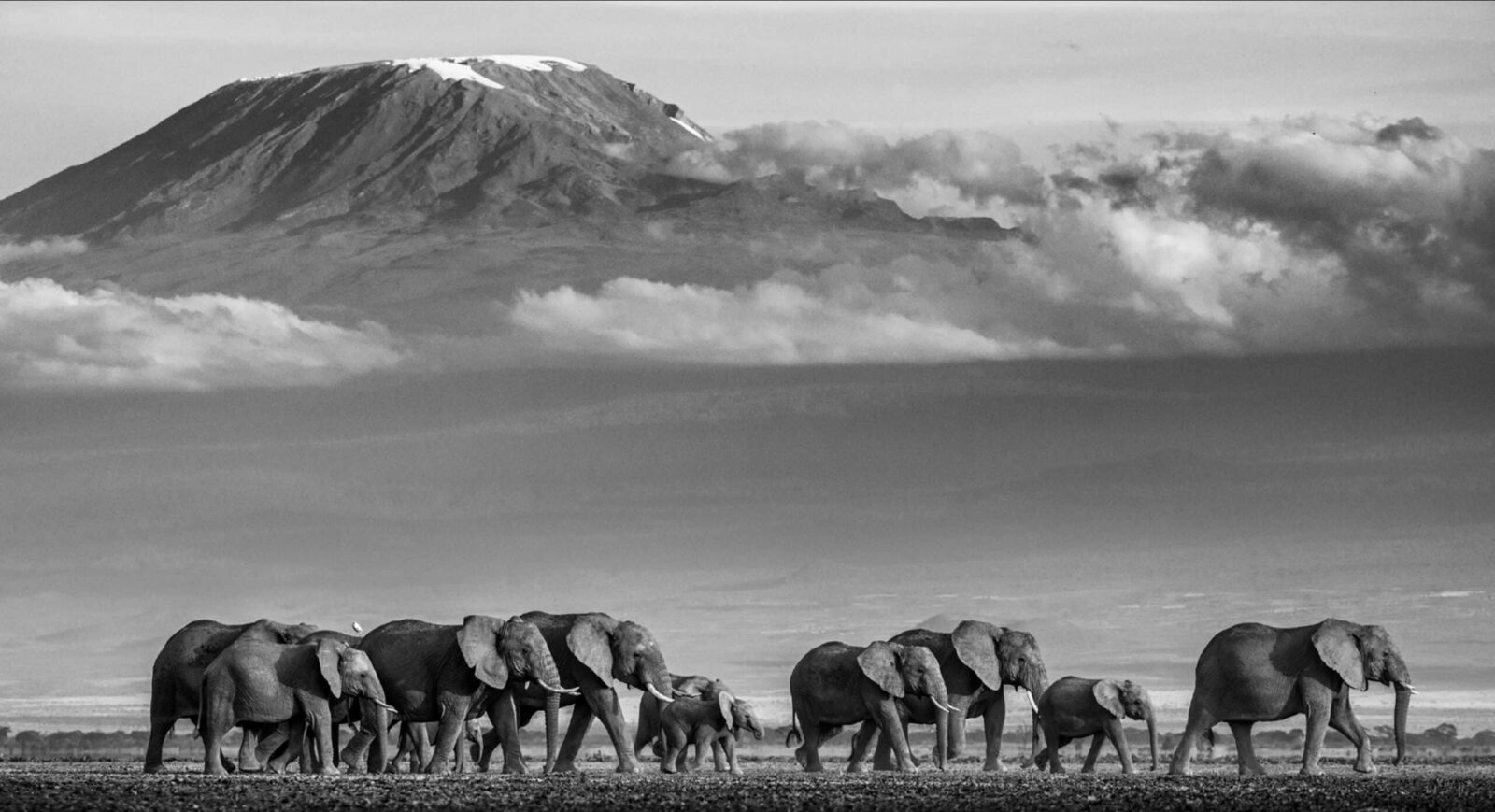 David_Yarrow_Walk_the_Line_II_Hilton_Asmus_Contemporary
